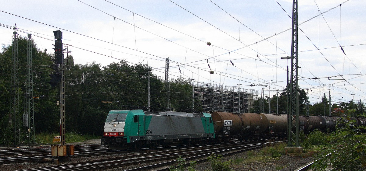 Die Cobra 2814 kommt aus Richtung Montzen/Belgien mit einem langen gemischten Güterzug aus Antwerpen-Noord(B) nach Köln-Gremberg(D) und fährt in Aachen-West ein.
Aufgenommen vom Bahnsteig in Aachen-West am 22.8.2014. 