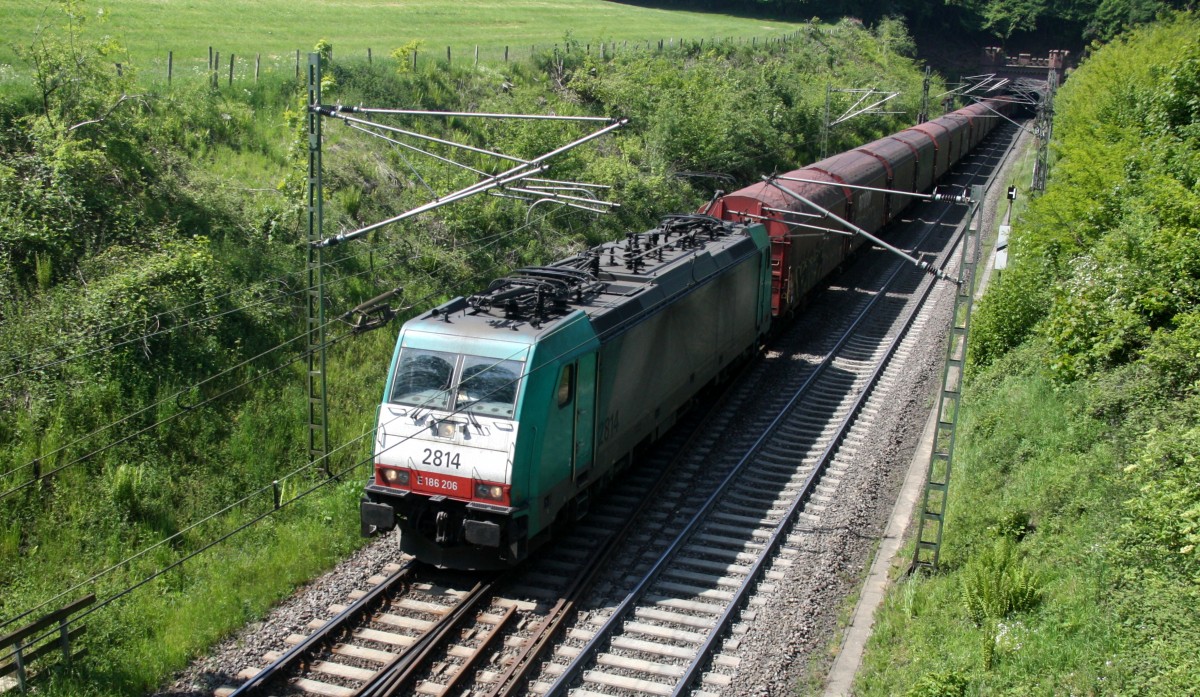 Die Cobra 2814 kommt aus dem Gemmenicher-Tunnel mit einem Kurzen Coilzug aus Kinkempois(B) nach Köln-Gremberg  und fährt die Gemmenicher-Rampe herunter nach Aachen-West. 
Aufgenommen bei Reinartzkehl an der Montzenroute. 
Bei schönem Frühlingswetter am Vormittag vom 23.5.2015.
