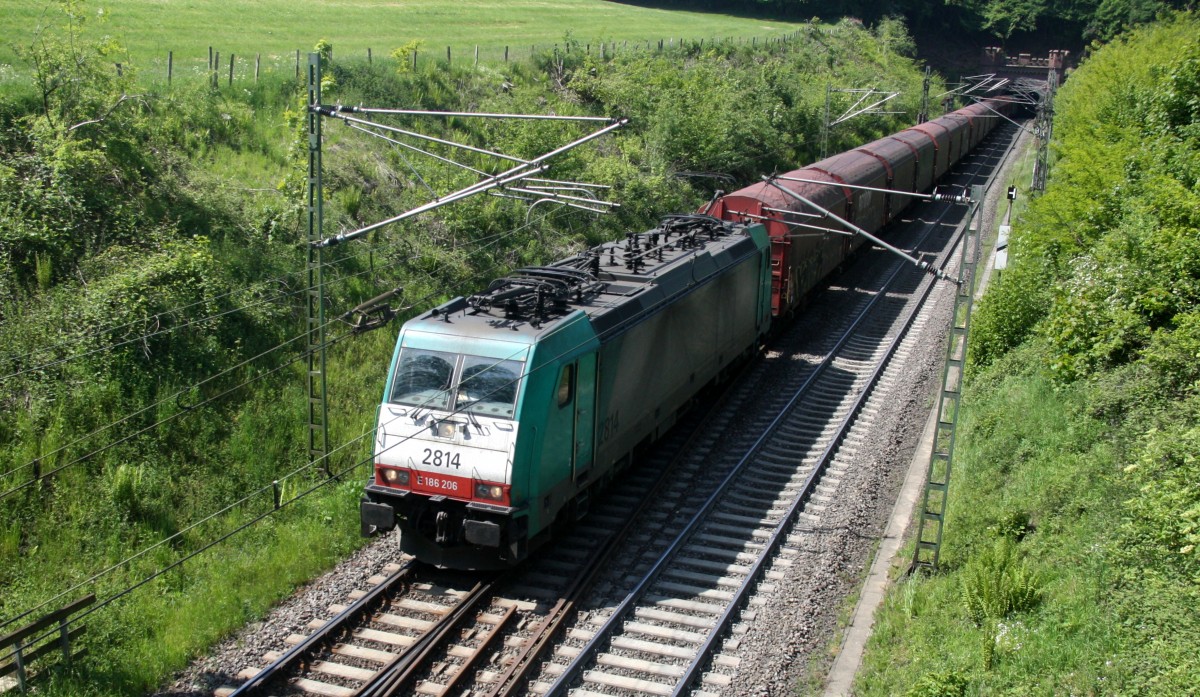 Die Cobra 2814 kommt aus dem Gemmenicher-Tunnel mit einem Kurzen Coilzug aus Kinkempois(B) nach Köln-Gremberg  und fährt die Gemmenicher-Rampe herunter nach Aachen-West. 
Aufgenommen bei Reinartzkehl an der Montzenroute. 
Bei schönem Frühlingswetter am Vormittag vom 23.5.2015.
