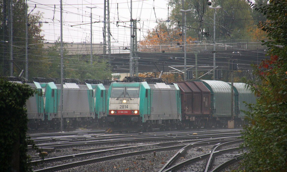 Die Cobra 2814 kommt aus Richtung Montzen/Belgien mit einem Kurzen Coilzug aus Kinkempois(B) nach Köln-Gremberg und fährt in Aachen-West ein. Aufgenommen vom Bahnsteig in Aachen-West.
Bei Regenwetter am Nachmittag vom 24.10.2016.