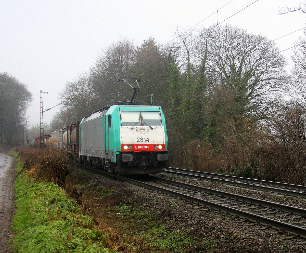 Die Cobra 2814 kommt die Gemmenicher-Rampe herunter nach Aachen-West mit einem langen Containerzug aus Antwerpen-Oorderen(B) nach Gallarate(I). Aufgenommen an der Montzenroute am Gemmenicher-Weg.
Bei Niselregen am Vormittag vom 23.1.2016.
