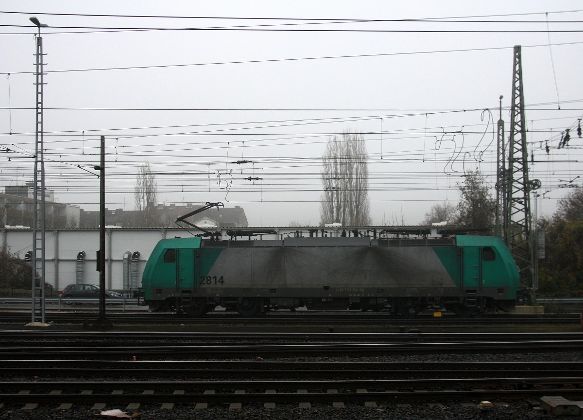 Die Cobra 2814 rangiert in Aachen-West.
Aufgenommen vom Bahnsteig in Aachen-West. Bei Nebelwolken an einem Kalten vormittag vom 3.12.2014.
