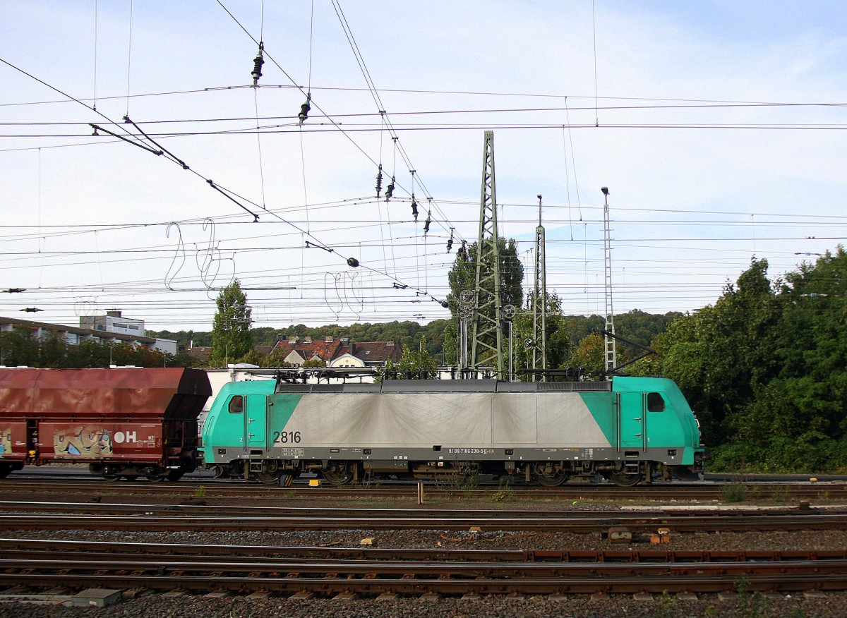 Die Cobra 2816 fährt mit einem langen Kohlenleerzug aus Bernburg nach Gent-Zeehaven(B) bei der Ausfahrt aus Aachen-West und fährt in Richtung Montzen/Belgien.
Aufgenommen vom Bahnsteig in Aachen-West bei schönem Sonnenschein am Abend vom 29.8.2014.