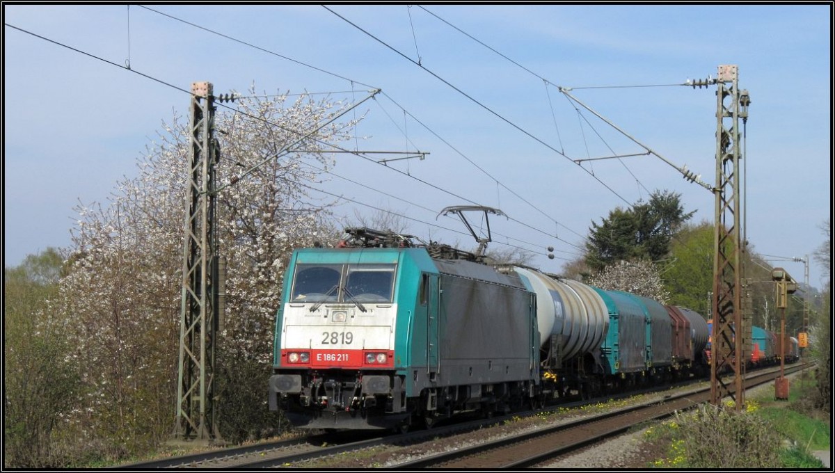 Die Cobra 2819 zieht ihren gemischten Güterzug die Gemmenicher Rampe hinauf nach Belgien.Hier zu sehen unweit von Aachen auf der Montzenroute am 19.April 2015.