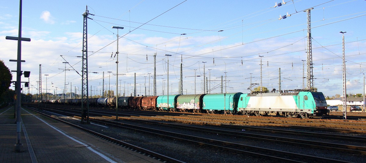 Die Cobra 2822 steht in Aachen-West mit einem langen gemischten Güterzug aus Antwerpen-Noord(B) nac Köln-Gremberg und wartet auf die Abfahrt Köln.
Aufgenommen vom Bahnsteig in Aachen-West bei schönem Sonnenschein am Nachmittag vom 17.10.2014.