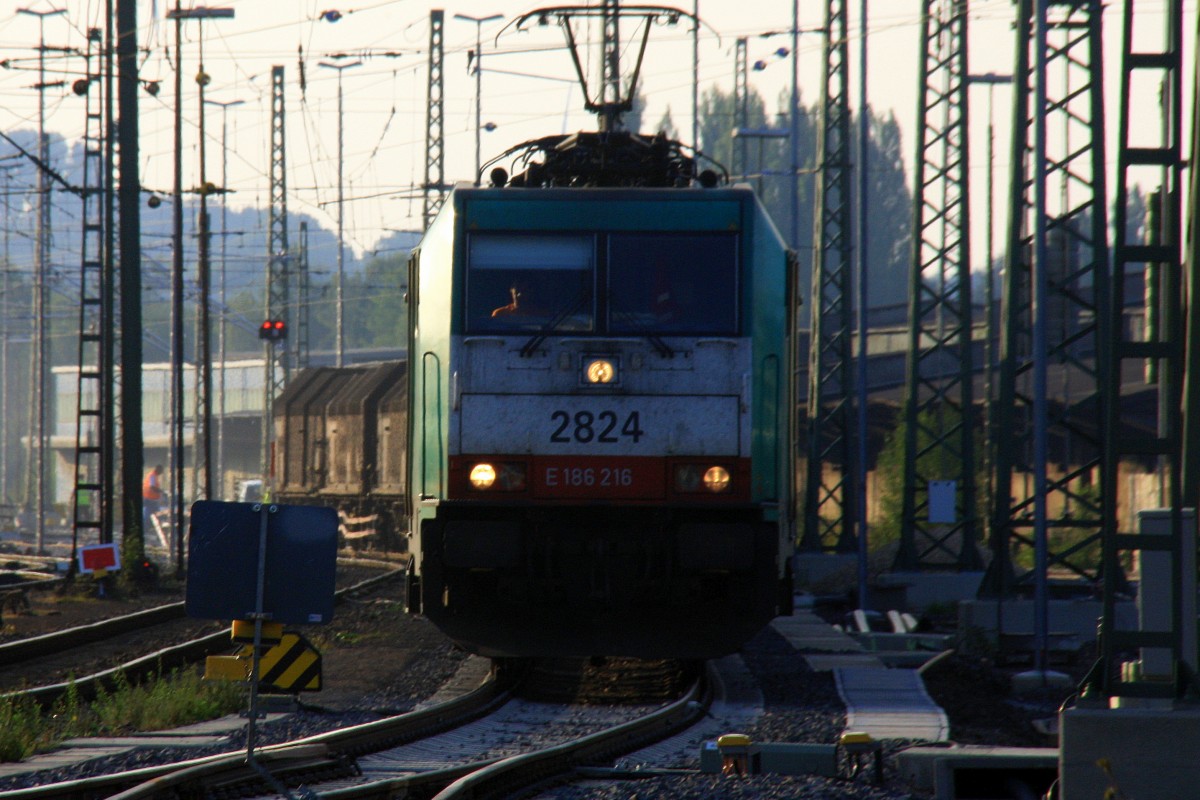 Die Cobra 2824 f�hrt mit einem Kurzen Coilzug aus Linz-Voestalpine(A) nach Gent-Zeehaven(B) bei der Ausfahrt aus Aachen-West und f�hrt in Richtung Montzen/Belgien am einem sch�nem Sommerabend am 3.9.2013.