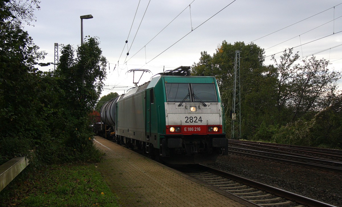 Die Cobra 2824 kommt als Umleiter aus Richtung Aachen-West mit einem langen gemischten Güterzug aus Antwerpen-Noord(B) nach Köln-Gremberg und fährt durch Kohlscheid in Richtung Herzogenrath,Neuss. 
Aufgenommen vom 11.10.2014.
