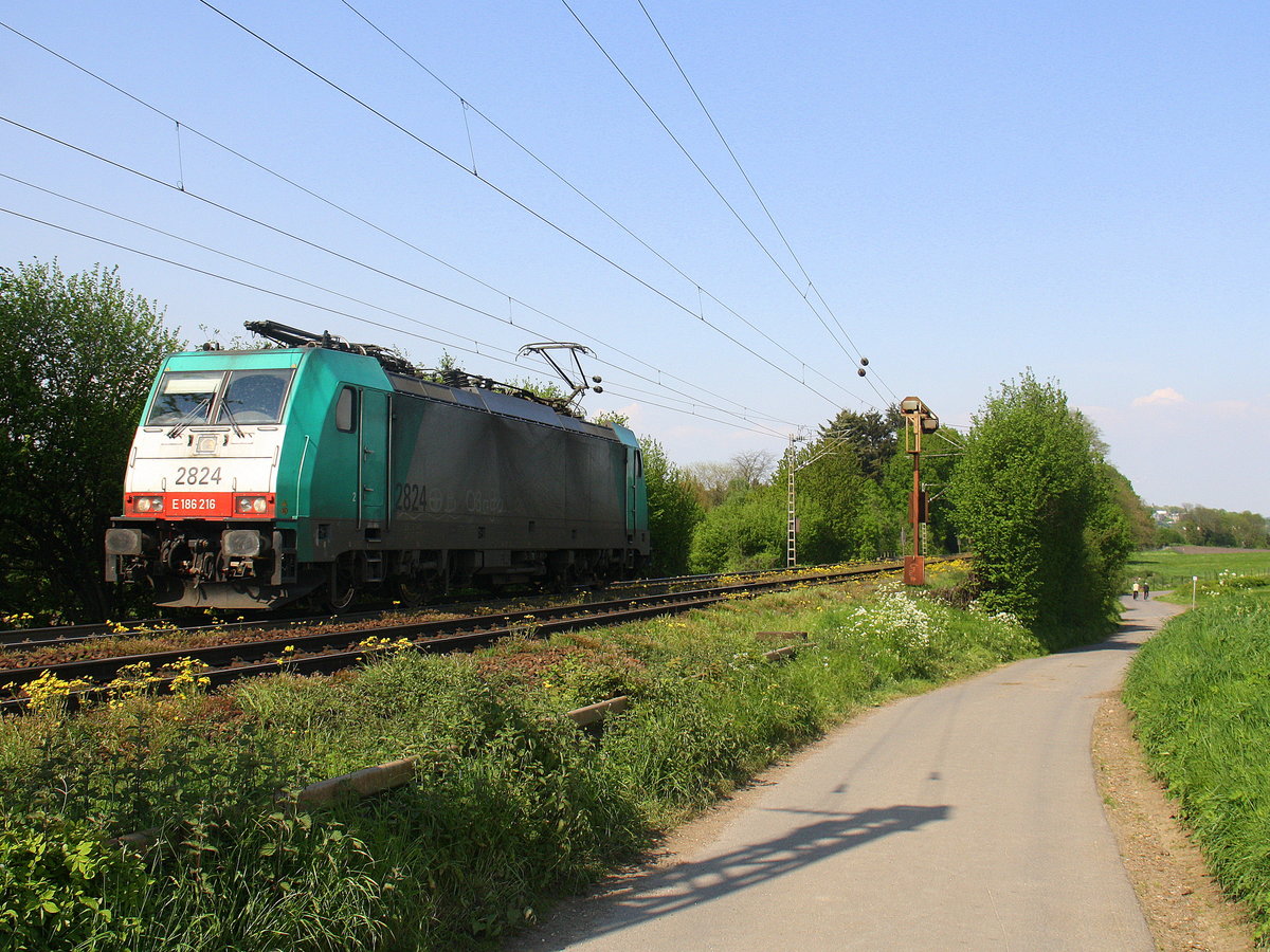 Die Cobra 2824 kommt als Lokzug von Aachen-West nach Belgien und fährt die Gemmenicher-Rampe hoch. 
Aufgenommen an der Montzenroute am Gemmenicher-Weg. 
Bei Sommerwetter am Nachmittag vom 12.5.2016.