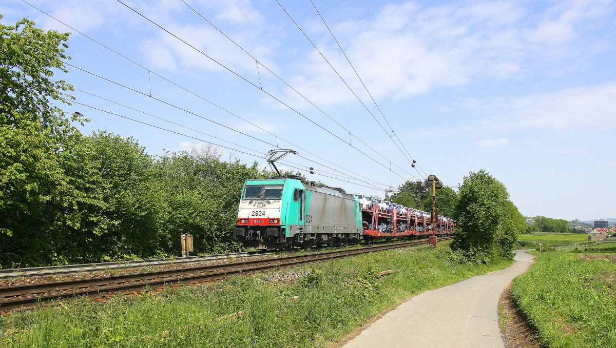 Die Cobra 2824 kommt aus Richtung Aachen-West und fährt die Gemmenicher-Rampe hoch mit einem langen Suzuki-Autozug aus Gelsenkirchen-Bismarck(D) nach Zeebrugge-Pelikaan(B).
Aufgenommen an der Gemmenicher-Rampe am Gemmenicher-Weg auf dem Montzenroute. 
Bei schönem Frühlingswetter am 15.5.2015.