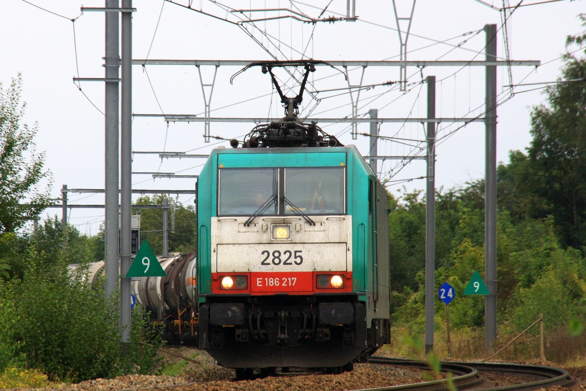 Die Cobra 2825 fhrt mit einem langen gemischten Gterzug aus Kln-Gremberg nach Antwerpen-Noord(B) und kommt aus Richtung Aachen-West und fhrt durch Montzen-Gare(B) und fhrt in Richtung Vise(B) bei Wolken am 22.9.2013.