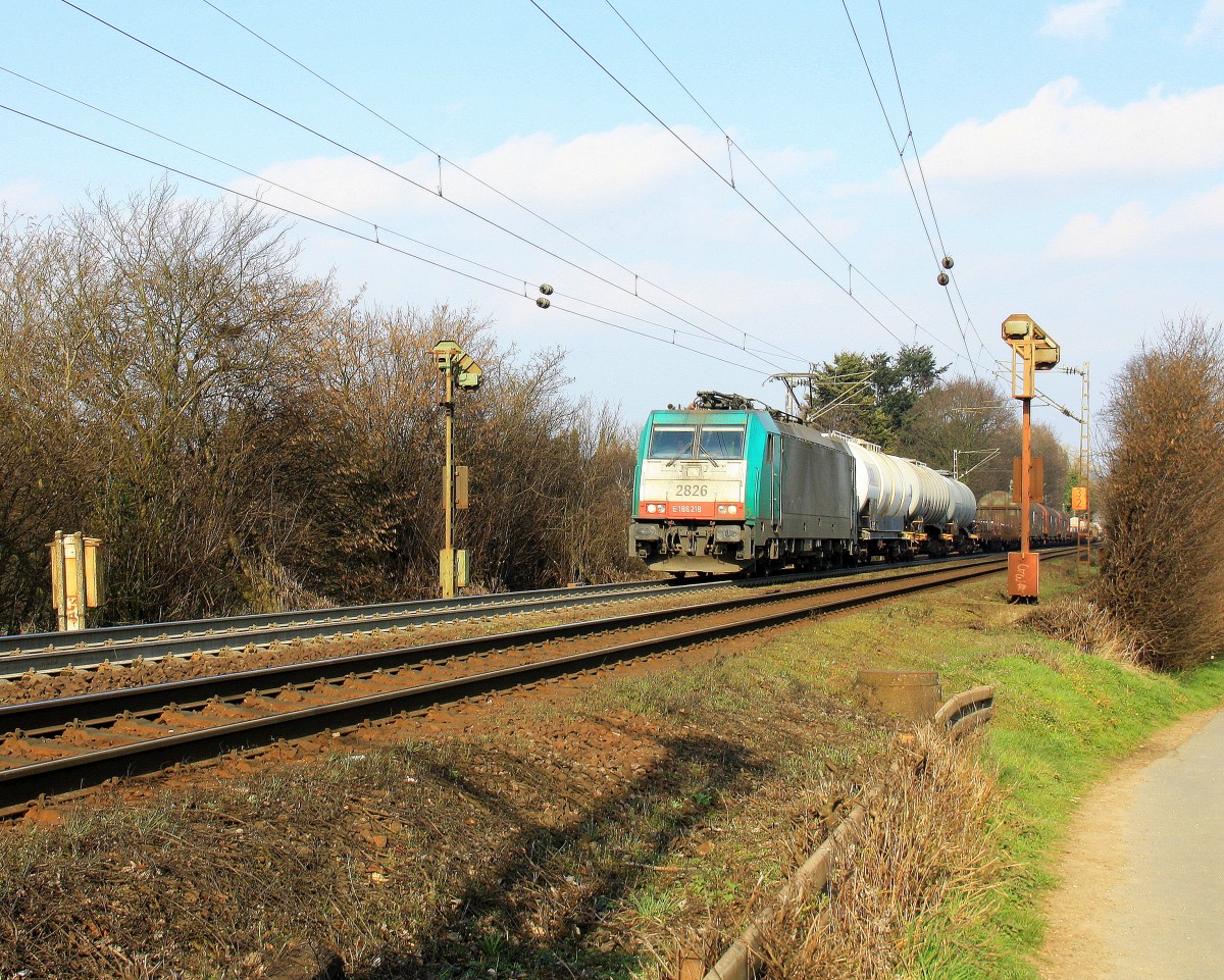 Die Cobra 2826 kommt aus Richtung Aachen-West und fährt die Gemmenicher-Rampe hoch mit einem langen gemischten Güterzug aus Köln-Gremberg nach Antwerpen-Noord(B) und fährt in Richtung Montzen/Belgien.
Aufgenommen an der Montzenroute am Gemmenicher-Weg bei schönem Sonnenschein am 16.3.2014.