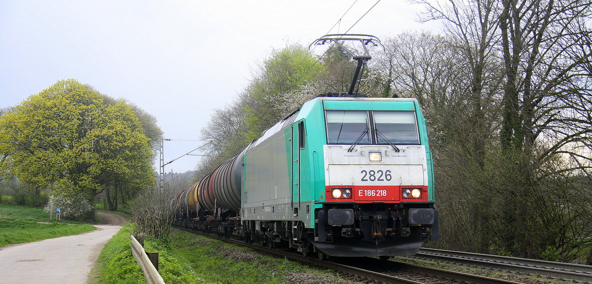 Die Cobra 2826 kommt die Gemmenicher-Rampe herunter nach Aachen-West mit einem Ölzug aus Antwerpen-Petrol(B) nach Heilbronn(D).
Aufgenommen an der Gemmenicher-Rampe am Gemmenicher-Weg an der Montzenroute. 
Bei schönem Frühlingswetter am Nachmittag vom 14.4.2016.