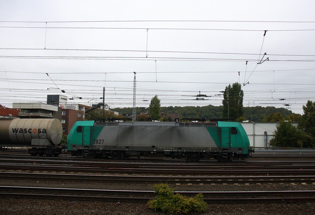 Die Cobra 2827 fährt mit einem langen Kesselzug aus Antwerpen-BASF(B) nach Ludwigshafen-BASF(D) bei der Ausfahrt aus Aachen-West und fährt in Richtung Aachen-Schanz,Aachen-Hbf,Köln.
Aufgenommen vom Bahnsteig in Aachen-West bei Wolken am vormittag vom 26.9.2014.