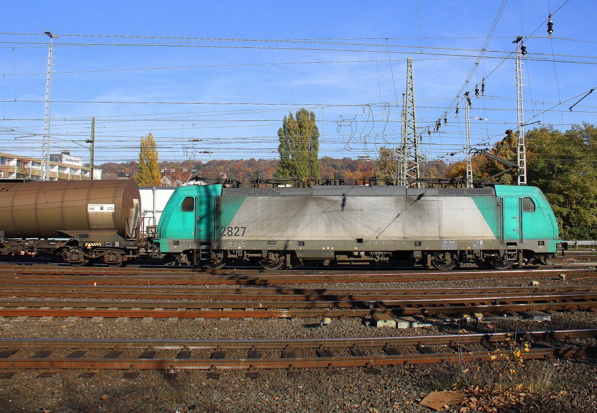 Die Cobra 2827 fährt mit einem langen gemischten Güterzug aus Antwerpen-Noord(B) nach Köln-Gremberg bei der Ausfahrt aus Aachen-West und fährt in Richtung Aachen-Schanz,Aachen-Hbf,Aachen-Rothe-Erde,Stolberg-Hbf(Rheinland)Eschweiler-Hbf,Langerwehe,Düren,Merzenich,Buir,Horrem,Kerpen-Köln-Ehrenfeld,Köln-West,Köln-Süd. Bei schönem Herbstwetter am Mittag vom 31.10.2015.