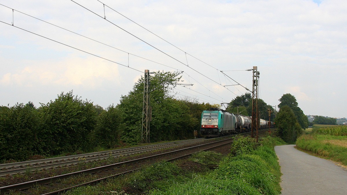 Die Cobra 2827 kommt aus Richtung Aachen-West und fährt die Gemmenicher-Rampe hochgefahren mit einem langen  Kesselzug aus Ludwigshafen-BASF nach Antwerpen-BASF(B) und fährt in Richtung Montzen/Belgien. Aufgenommen an der Montzenroute am Gemmenicher-Weg bei Sonne und Wolken am Nachmittag vom 14.9.2014. 