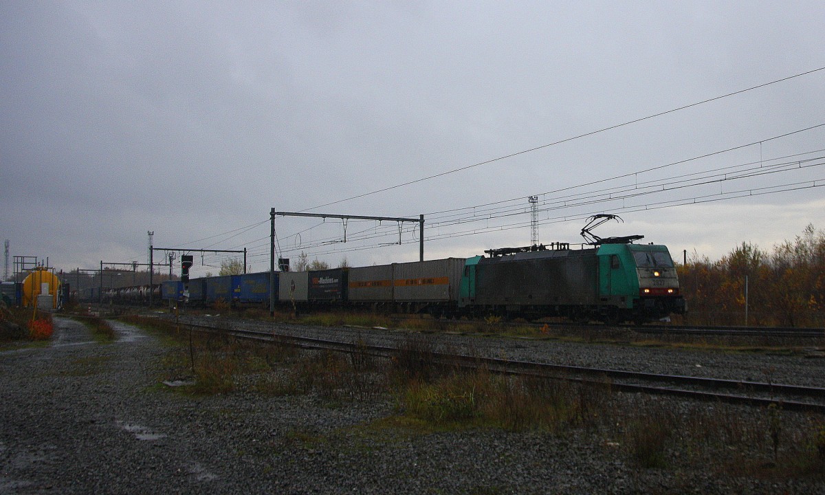 Die Cobra 2827 kommt aus Richtung Aachen-West und fährt durch Montzen-Gare(B) mit einem langen Containerzug aus Verona(I) nach Antwerpen-Noord(B) und fährt in Richtung Richtung Vise(B)  bei regnerischen Novemberwetter am Nachmittag vom 16.11.2014.