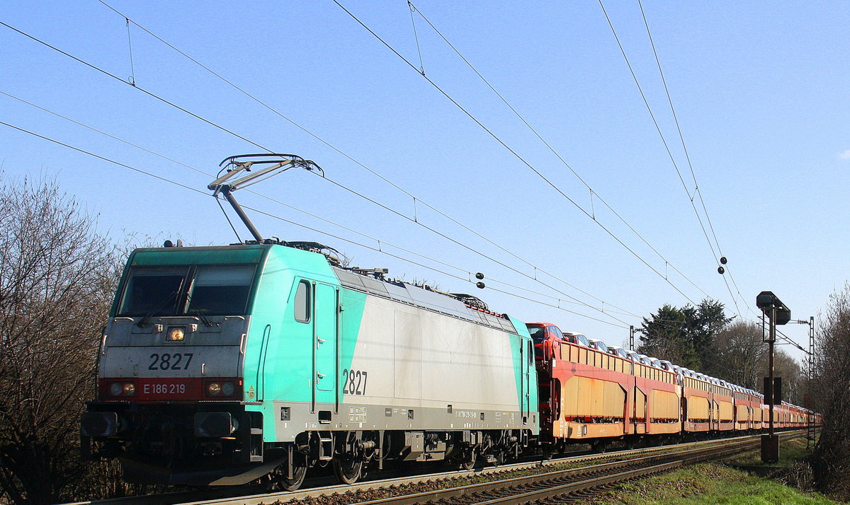 Die Cobra 2827 kommt aus Richtung Aachen-West und fährt die Gemmenicher-Rampe hochgefahren mit einem langen Toyota-Autozug aus Gliwice(PL) nach Zeebrugge(B) aus Richtung Aachen-West und fährt in Richtung Gemmenicher-Tunnel,Botzelaer(B),Gemmenich(B),Nouvelaer(B),Moresnet(B),Moresnet-Chapelle(B),Montzen(B). 
Aufgenommen an der Gemmenicher-Rampe am Gemmenicher-Weg an der Montzenroute. 
Bei schönem Frühlingswetter am 9.4.2016.