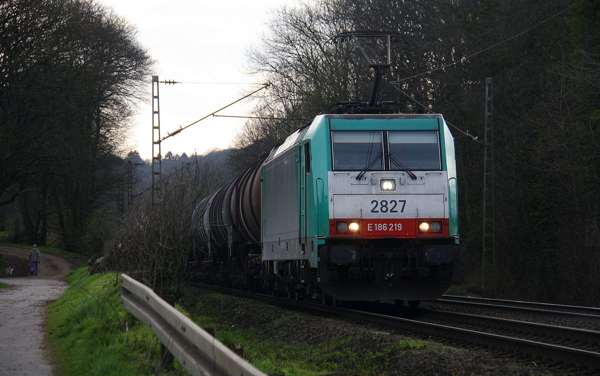 Die Cobra 2827 kommt die Gemmenicher-Rampe herunter nach Aachen-West mit einem Ölzug aus Antwerpen-Petrol(B) nach Heilbronn(D) und fährt nach Aachen-West und rollt die Gemmenicher-Rampe herunter nach Aachen-West.
Aufgenommen an der Montzenroute am Gemmenicher-Weg. 
Bei schönem Sonnenschein am Nachmittag vom 23.3.2017.