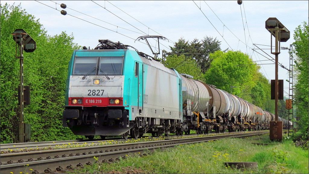 Die Cobra 2827 zieht ihren Kesselwagenzug die Gemmenicher Rampe hinauf nach Belgien. Hier zu sehen auf der Montzenroute unweit von Aachen am 11. Mai 2017. 