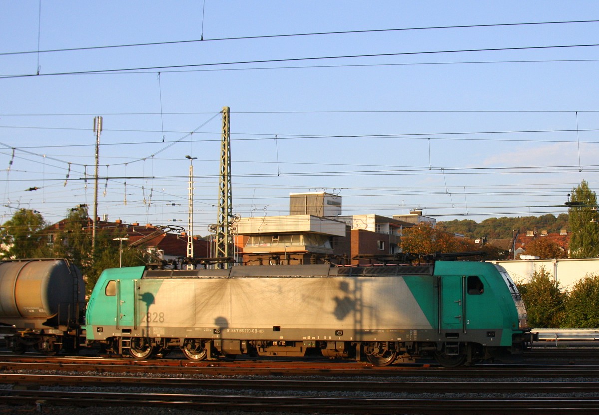 Die Cobra 2828 fährt mit einem langen Kesselzug aus Aachen-West nach Belgien bei der Ausfahrt aus Aachen-West in Richtung Montzen/Belgien.
Aufgenommen vom Bahnsteig in Aachen-West bei schöner Abendsonne am Abend vom 1.10.2014.