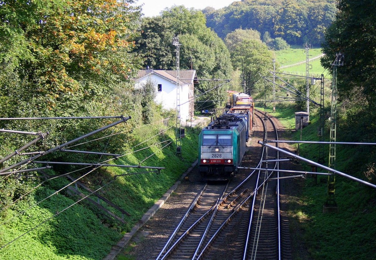 Die Cobra 2828 kommt die Gemmenicher-Rampe hochgefahren aus Aachen-West mit einem langen Containerzug aus Gallarate(I) nach Antwerpen-Combinant(B) und fährt gleich in den Gemmenicher-Tunnel hinein und fährt in Richtung Montzen/Vise(B). Aufgenommen in Reinartzkehl an der Montzenroute bei schönem Herbstwetter am am 3.10.2014. 