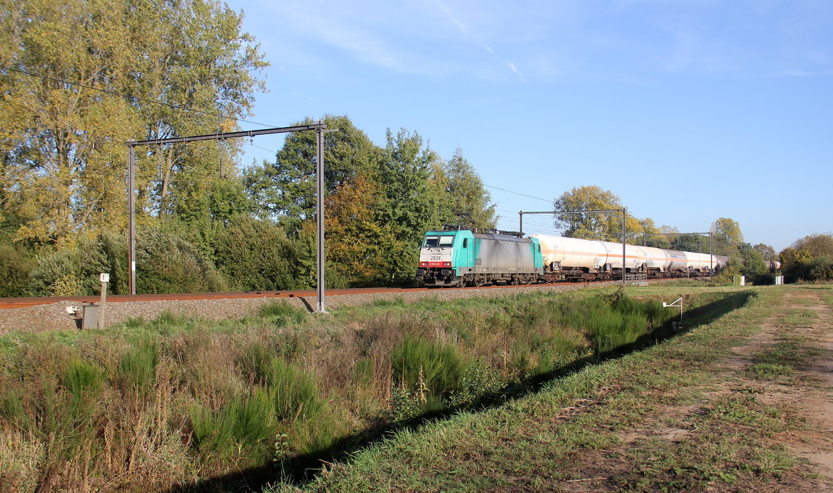 Die Cobra 2828 kommt mit einem Kesselzug aus Ludwigshafen-BASF(D) nach Antwerpen-BSAF(B) und kommt aus Richtung Aachen-West(D),Montzen(B),Vise(B),Tongeren(B),Hasselt(B) und fährt durch Lummen-Linkhout(B) in Richtung Diest(B),Antwerpen(B). 
Aufgenommen in Lummen-Linkhout(B). 
Bei schönem Herbstwetter am Nachmittag vom 13.10.2018.