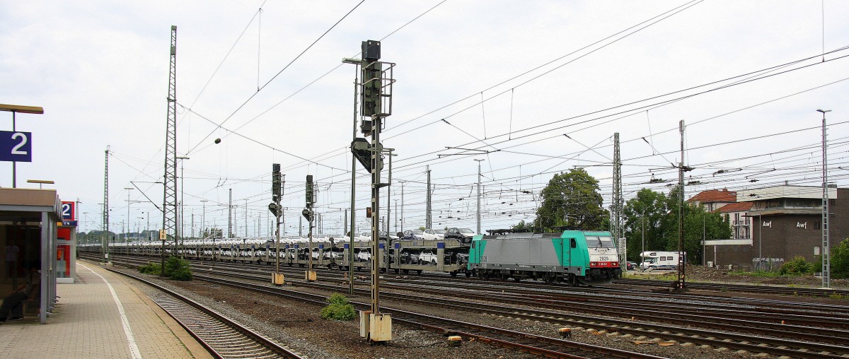 Die Cobra 2829 fährt mit einem langen Autozug aus Gelsenkirchen-Bismarck(D) nach Zeebrugge-Pelikaan(B) bei der Ausfahrt aus Aachen-West in Richtung Montzen/Belgien.
Aufgenommen vom Bahnsteig in Aachen-West am 6.8.2014.