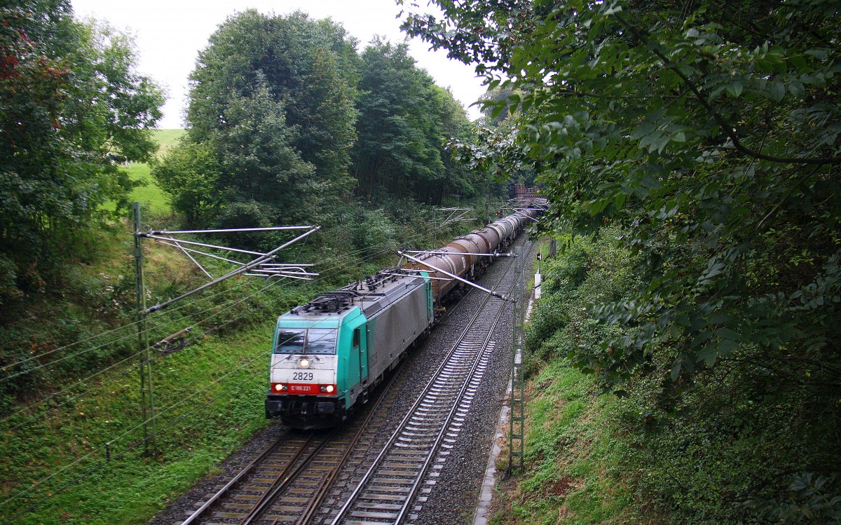 Die Cobra 2829 kommt aus dem Gemmenicher-Tunnel mit einem Kesselzug aus Antwerpen-BASF(B) nach Ludwigshafen-BASF(D) und fährt die Gemmenicher-Rampe herunter nach Aachen-West.
Aufgenommen bei Reinartzkehl bei Regenwetter am 29.9.2014.