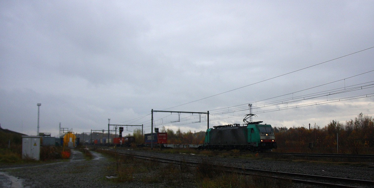 Die Cobra 2829 kommt aus Richtung Aachen-West und fährt durch Montzen-Gare(B) mit einem langen Containerzug aus Gallarate(I) nach Antwerpen-Oorderen(B) und fährt in Richtung Vise(B) bei regnerischen Novemberwetter am Nachmittag vom 16.11.2014.