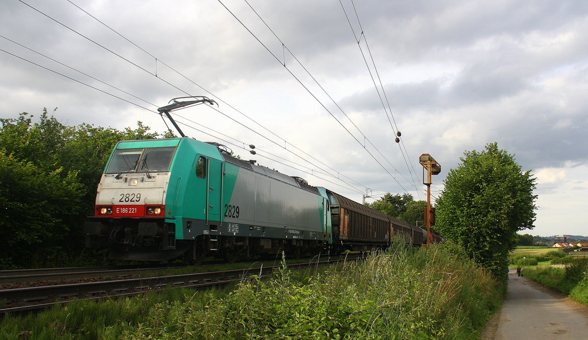 Die Cobra 2829 kommt aus Richtung Aachen-West und fährt die Gemmenicher-Rampe hoch mit einem Güterzug aus Köln-Gremberg(D) nach Antwerpen-Noord(B)  und fährt in Richtung Montzen/Belgien. 
Aufgenommen an der Montzenroute am Gemmenicher-Weg. 
Am Abend vom 11.7.2016.