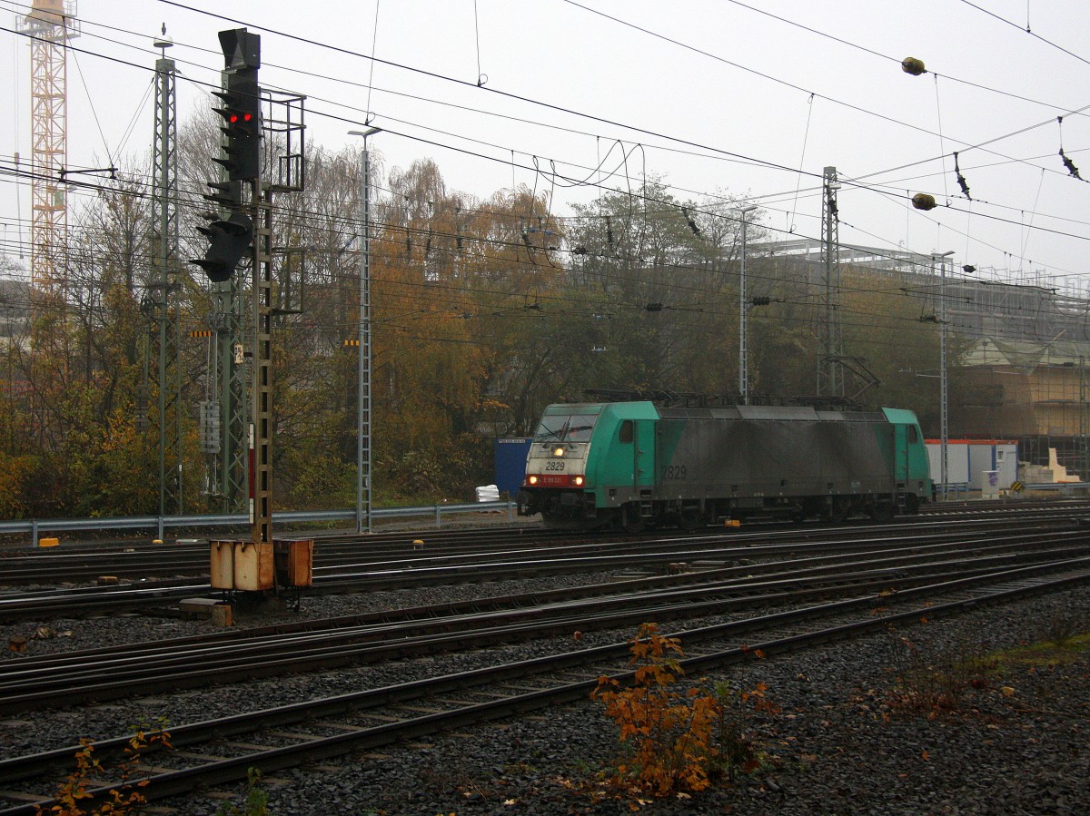 Die Cobra 2829 rangiert in Aachen-West. Aufgenommen vom Bahnsteig in Aachen-West. Bei Nebelwolken an einem Kalten vormittag vom 3.12.2014.