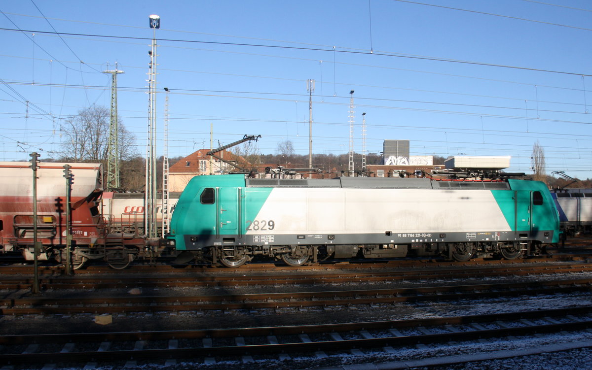 Die Cobra 2829 steht mit in Aachen-West einem Kalkleerzug aus Hagen(D) nach Marche-les-Dames(B) und wartet auf Abfahrt nach Belgien.
Aufgenommen vom Bahnsteig in Aachen-West.
Bei Sonnenschein am Kalten am Nachmittag vom 31.12.2016.