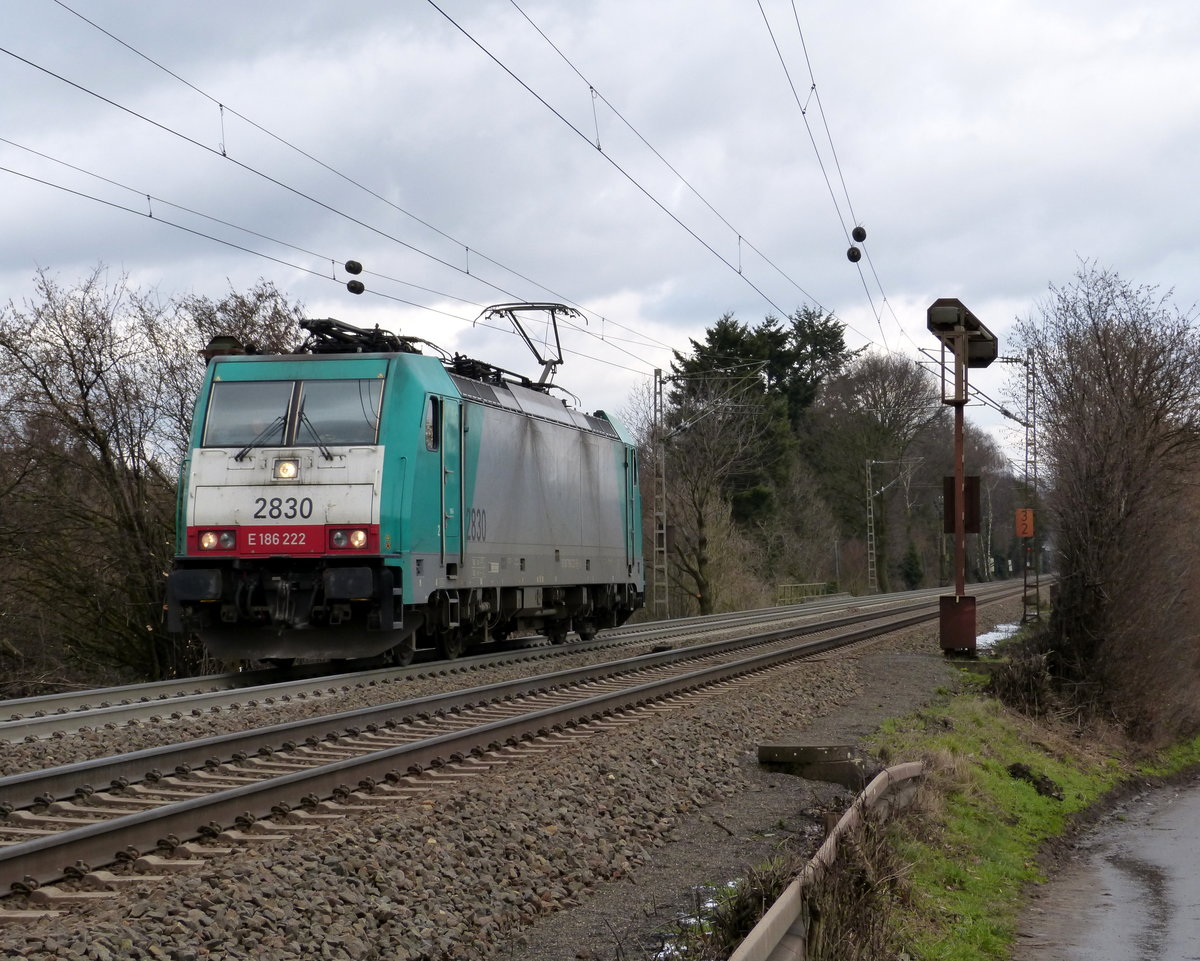 Die Cobra 2830  kommt als Lokzug von Aachen-West nach Belgien und fährt die Gemmenicher-Rampe hoch. 
Aufgenommen an der Montzenroute am Gemmenicher-Weg.
Am Kalten Nachmittag vom 12.2.2018.