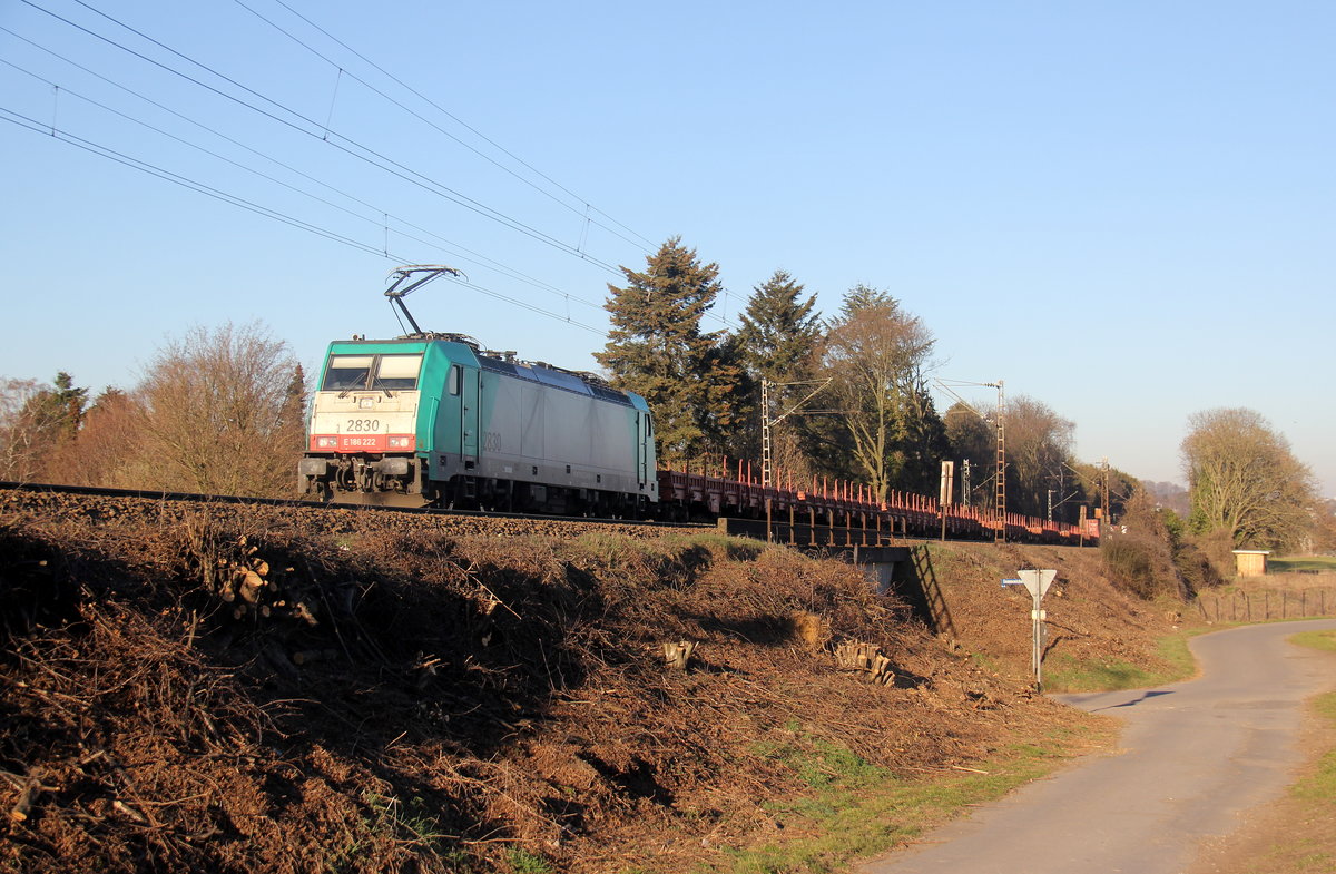 Die Cobra 2830 kommt aus Richtung Aachen-West und fährt die Gemmenicher-Rampe hoch mit einem gemischten Güterzug aus Bratislava-východ(SVK) nach Antwerpen-D.S.(B) und fährt in Richtung Gemmenicher-Tunnel,Botzelaer(B),Gemmenich(B),Nouvelaer(B),Moresnet(B),Moresnet-Chapelle(B),Montzen(B). 
Aufgenommen an der Montzenroute am Gemmenicher-Weg. 
Bei schönem Frühlingswetter am Nachmittag vom 27.2.2019.