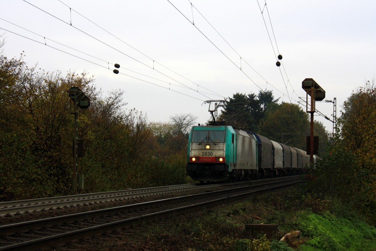 Die Cobra 2830  kommt aus Richtung Aachen-West und fhrt die Gemmenicher-Rampe hochgefahren mit einem Kurzen  Coilzug aus Linz-Voestalpine(A) nach Gent-Zeehaven(B).
Aufgenommen an der Montzenroute am Gemmenicher-Weg bei Wolken am Nachtmittag vom 17.11.2013.