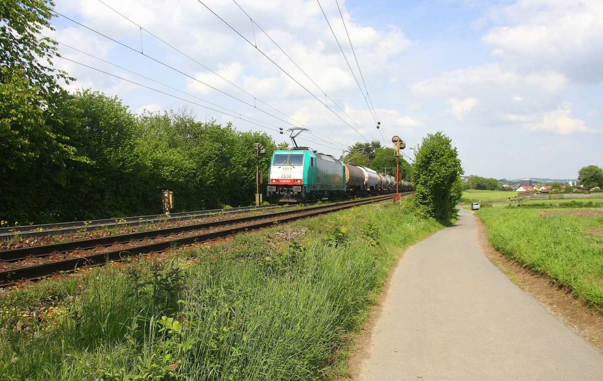 Die Cobra 2830  kommt aus Richtung Aachen-West und fährt die Gemmenicher-Rampe hoch mit einem langen Kesselzug aus Ludwigshafen-BASF nach Antwerpen-BASF(B). Aufgenommen an der Montzenroute am Gemmenicher-Weg. 
Bei schönem Frühlingswetter am Nachmittag vom 17.5.2015.