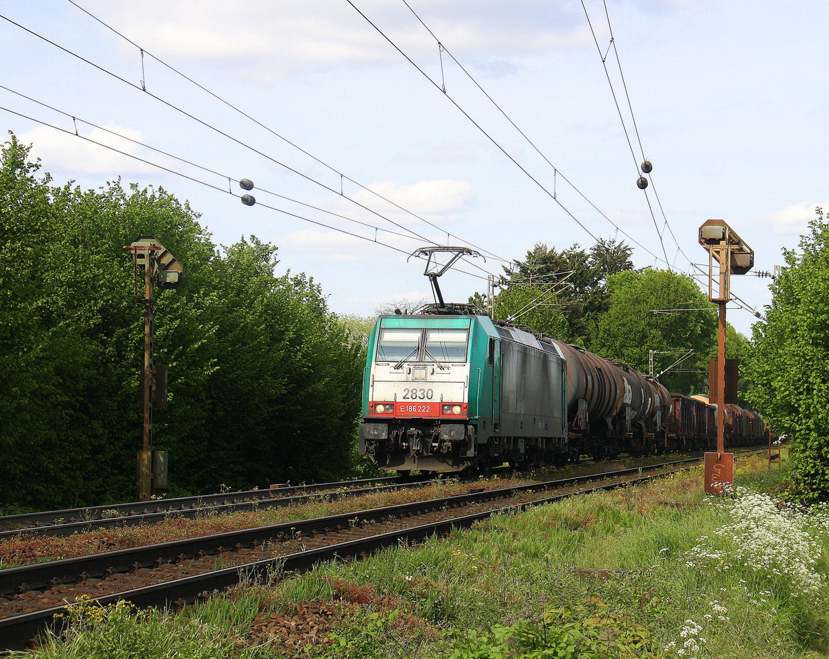 Die Cobra 2830 kommt aus Richtung Aachen-West und fährt die Gemmenicher-Rampe hoch mit einem langen gemischten Güterzug aus Köln-Gremberg(D) nach Antwerpen-Noord(B) und fährt in Richtung Montzen/Belgien. 
Aufgenommen an der Montzenroute am Gemmenicher-Weg.
Bei Sommerwetter am Nachmittag vom 21.5.2016.