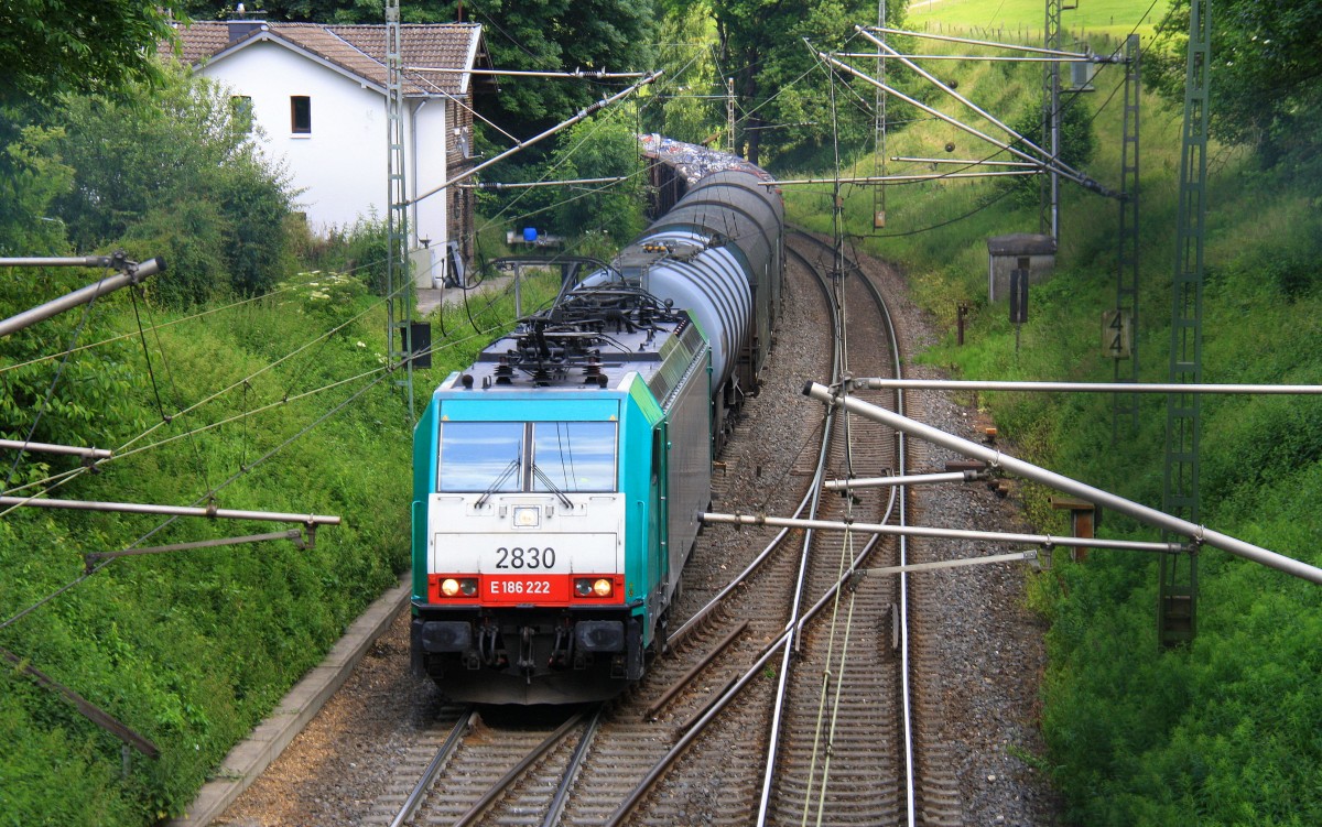 Die Cobra 2830 kommt die Gemmenicher-Rampe hochgefahren aus Aachen-West mit einem langen gemischten Gterzug aus Kln-Gremberg nach Antwerpen-Noord(B) und fhrt gleich in den Gemmenicher-Tunnel hinein.
Aufgenommen in Reinartzkehl auf der Montzenroute am bei Sommerwetter am 5.7.2013.