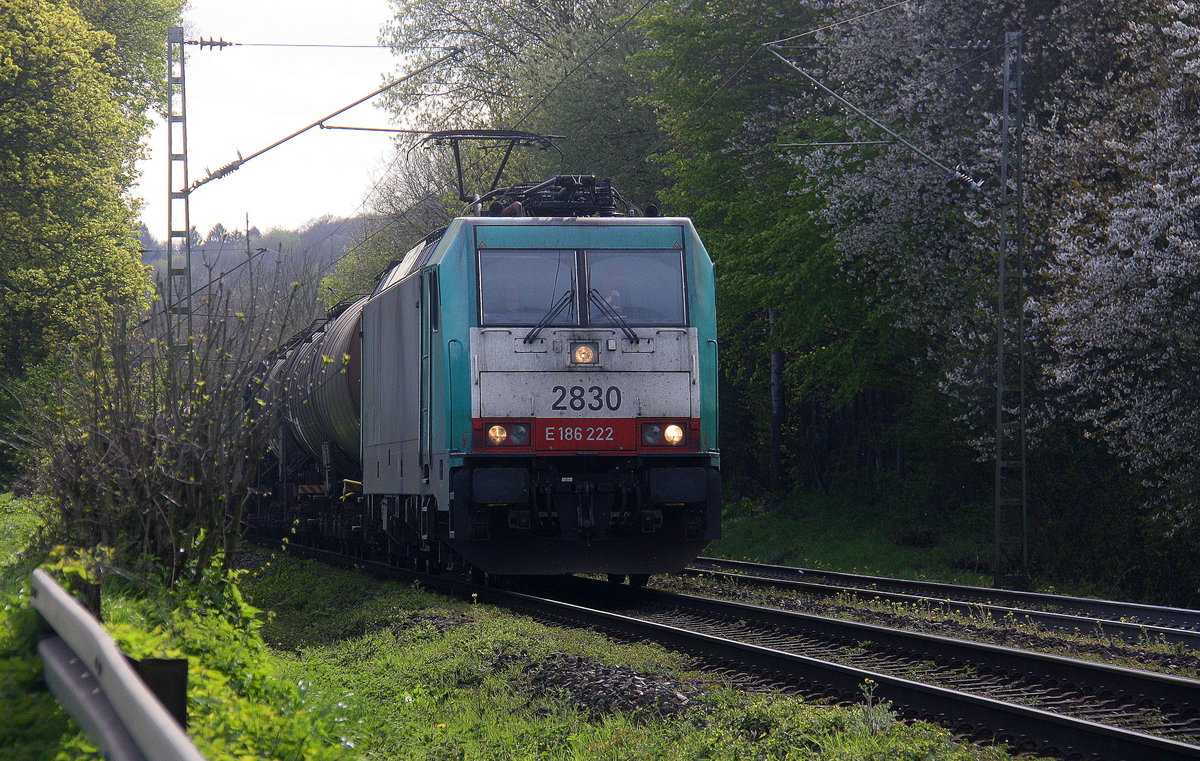 Die Cobra 2830 kommt die Gemmenicher-Rampe herunter nach Aachen-West mit einem langen gemischten Güterzug aus Antwerpen-Noord(B) nach Köln-Gremberg(D). Aufgenommen an der Gemmenicher-Rampe am Gemmenicher-Weg an der Montzenroute. 
Bei Sonne und Wolken am Nachmittag vom 21.4.2016.