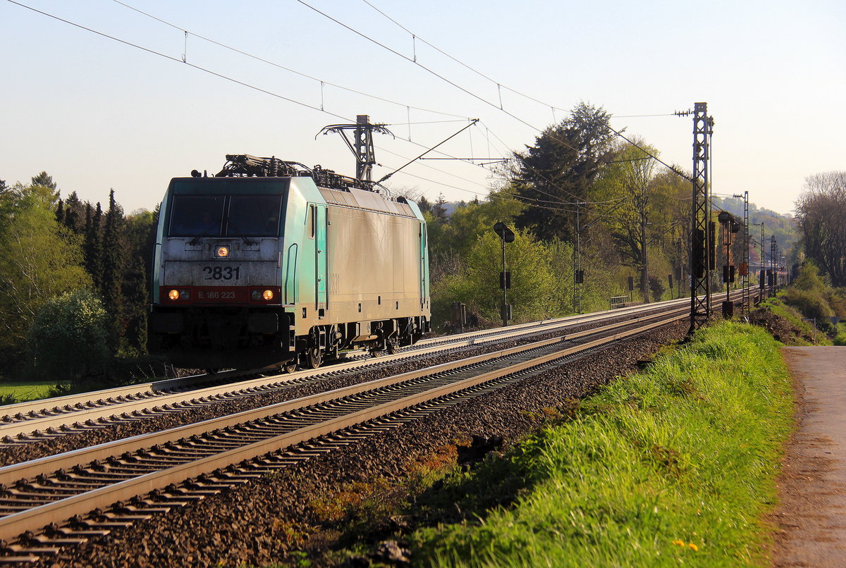 Die Cobra 2831 kommt als Lokzug von Aachen-West(D) nach Antwerpen-Noord(B) und fährt die Gemmenicher-Rampe hoch. 
Aufgenommen an der Montzenroute am Gemmenicher-Weg. 
Bei schönem Frühlingswetter am Morgen vom 20.4.2019.