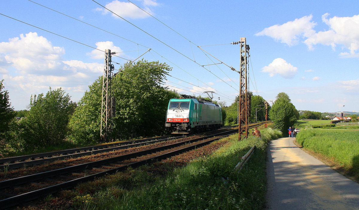 Die Cobra 2831 kommt als Lokzug von Aachen-West nach Belgien und fährt die Gemmenicher-Rampe hoch. 
Aufgenommen an der Montzenroute am Gemmenicher-Weg. 
Bei schönem Frühlingswetter am Nachmittag vom 19.5.2016.