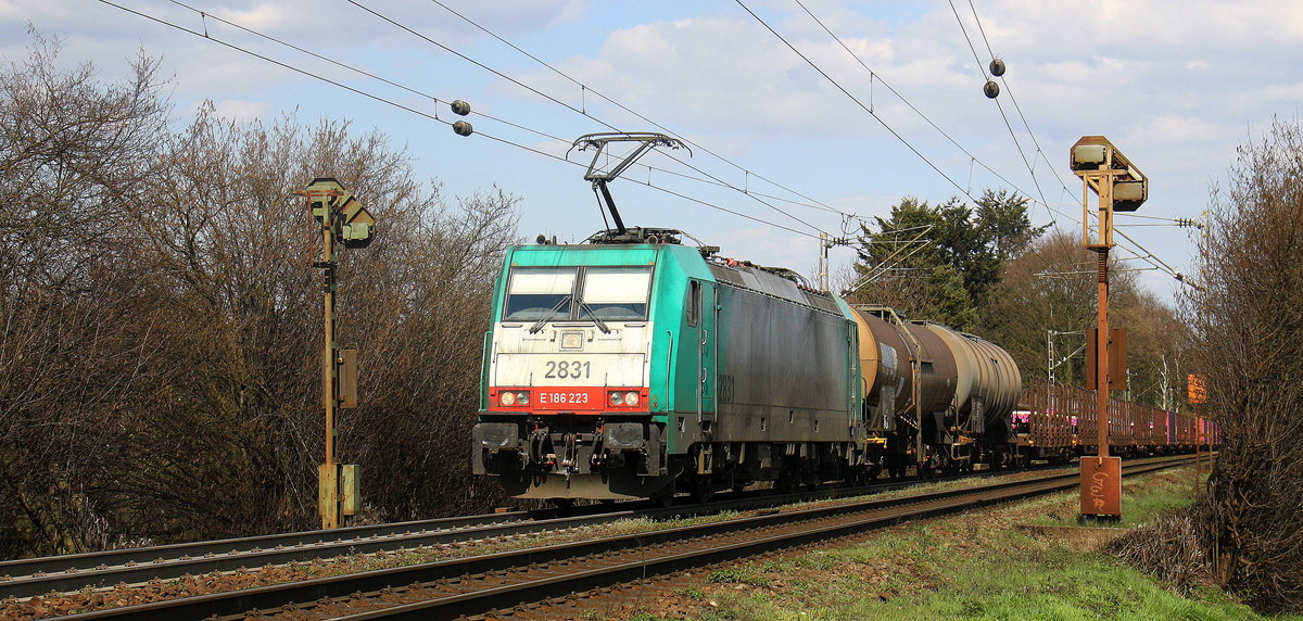 Die Cobra 2831  kommt aus Richtung Aachen-West und fährt die Gemmenicher-Rampe hochgefahren mit einem gemischten Güterzug aus Köln-Grmeberg(D) nach Antwerpen-Noord(B) und kommt aus Richtung Aachen-West und fährt in Richtung Gemmenicher-Tunnel,Botzelaer(B),Gemmenich(B),Nouvelaer(B),Moresnet(B),Moresnet-Chapelle(B),Montzen(B). Aufgenommen an der Gemmenicher-Rampe am Gemmenicher-Weg an der Montzenroute. Bei schönem Frühlingswetter am 9.4.2016.