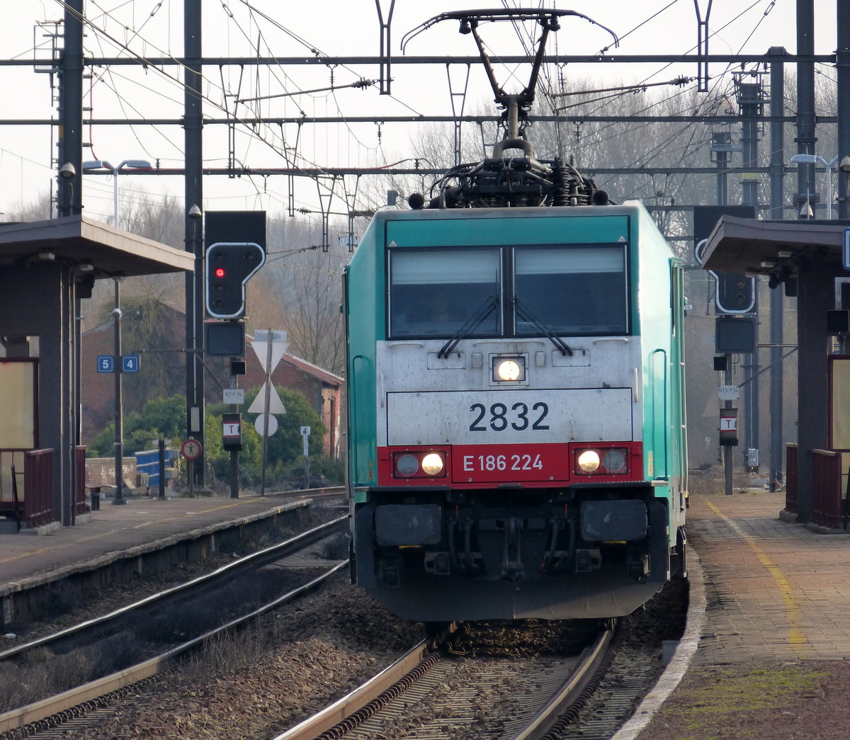 Die Cobra 2832 kommt aus Richtung Vise(B) mit einem Güterzug aus Ludwigshafen-BASF(D) nach  Antwerpen-BASF(B) und fährt durch Tongeren(B) in Richtung Hasselt(B),Antwerpen(B). Aufgenommen vom Bahnsteig 3 in Tongeren(B).
Bei Sonnenschein am Kalten Nachmittag vom 18.2.2018.