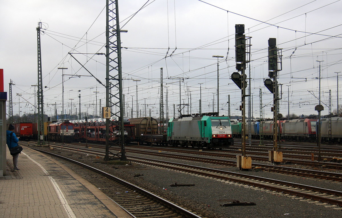 Die Cobra 2834 fährt mit einem Güterzug aus Köln-Gremberg nach Antwerpen-Noord(B) bei der Ausfahrt aus Aachen-West in Richtung Montzen/Belgien. 
Aufgenommen vom Bahnsteig in Aachen-West. 
Bei Wolken am Kalten Nachmittag vom 26.2.2017.