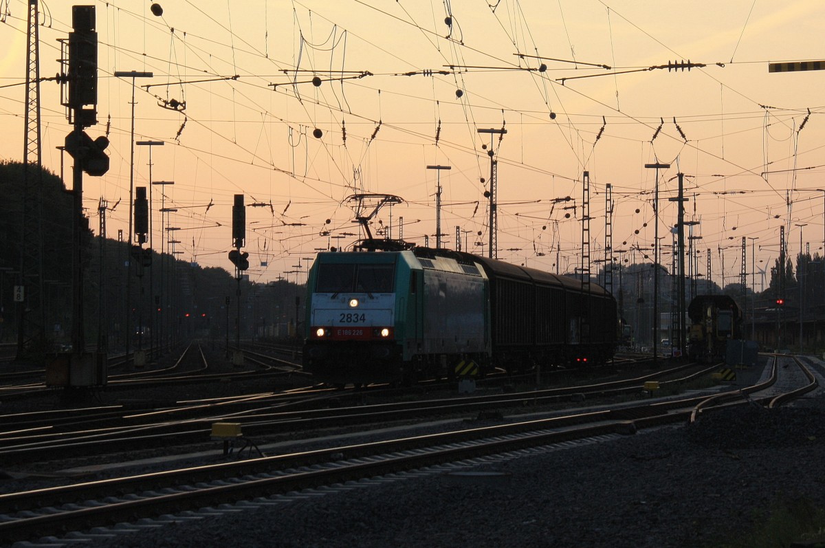 Die Cobra 2834 fhrt mit einem langen gemischten Gterzug aus Osnabrck nach Kortenberg-Goederen(B) bei der Ausfahrt aus Aachen-West und fhrt in Richtung Montzen/Belgien am einem schnem Sommerabend und in der Abendstimmung am 3.9.2013.