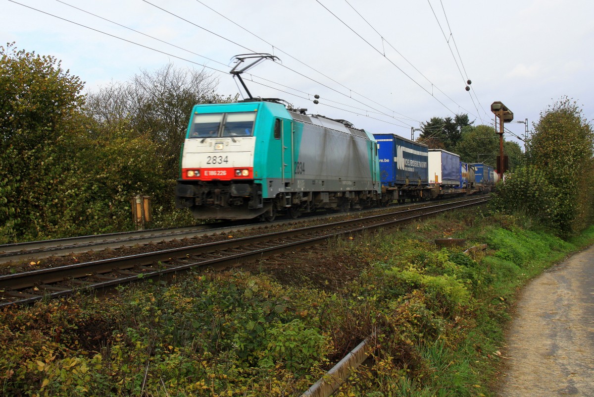 Die Cobra 2834 kommt aus Richtung Aachen-West und f�hrt die Gemmenicher-Rampe hoch mit einem langen Containerzug aus Gallarate(I) nach Antwerpen-Oorderen(B) und f�hrt in Richtung Montzen/Belgien. 
Aufgenommen auf der Montzenroute am Gemmenicher-Weg bei Sonne und Regenwolken am Nachtmittag vom 3.11.2013.