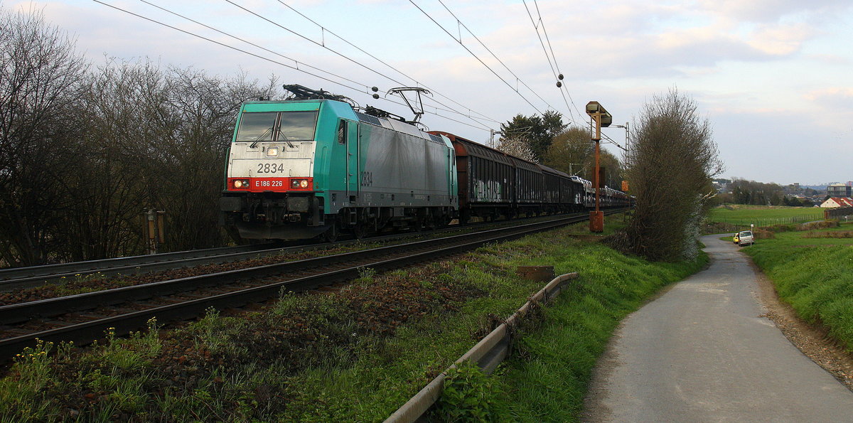 Die Cobra 2834 kommt aus Richtung Aachen-West und fährt die Gemmenicher-Rampe hoch mit einem langen Audi-VW-Zug aus Osnabrück nach Kortenberg-Goederen(B) und fährt in Richtung Montzen/Belgien. 
Aufgenommen an der Montzenroute am Gemmenicher-Weg. 
Bei Sonne und Wolken am Abend vom 18.4.2016.