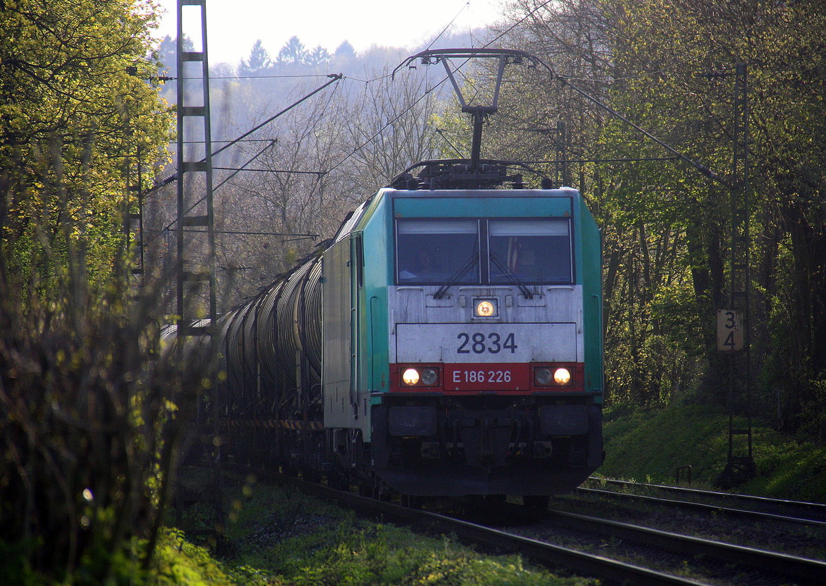 Die Cobra 2834 kommt die Gemmenicher-Rampe herunter nach Aachen-West mit einem Kesselzug aus Antwerpen-Noord(B) nach Burghausen-Wackerwerk(D).
Aufgenommen an der Gemmenicher-Rampe am Gemmenicher-Weg an der Montzenroute.
Bei schönem Frühlingswetter am Abend vom  18.4.2016.
