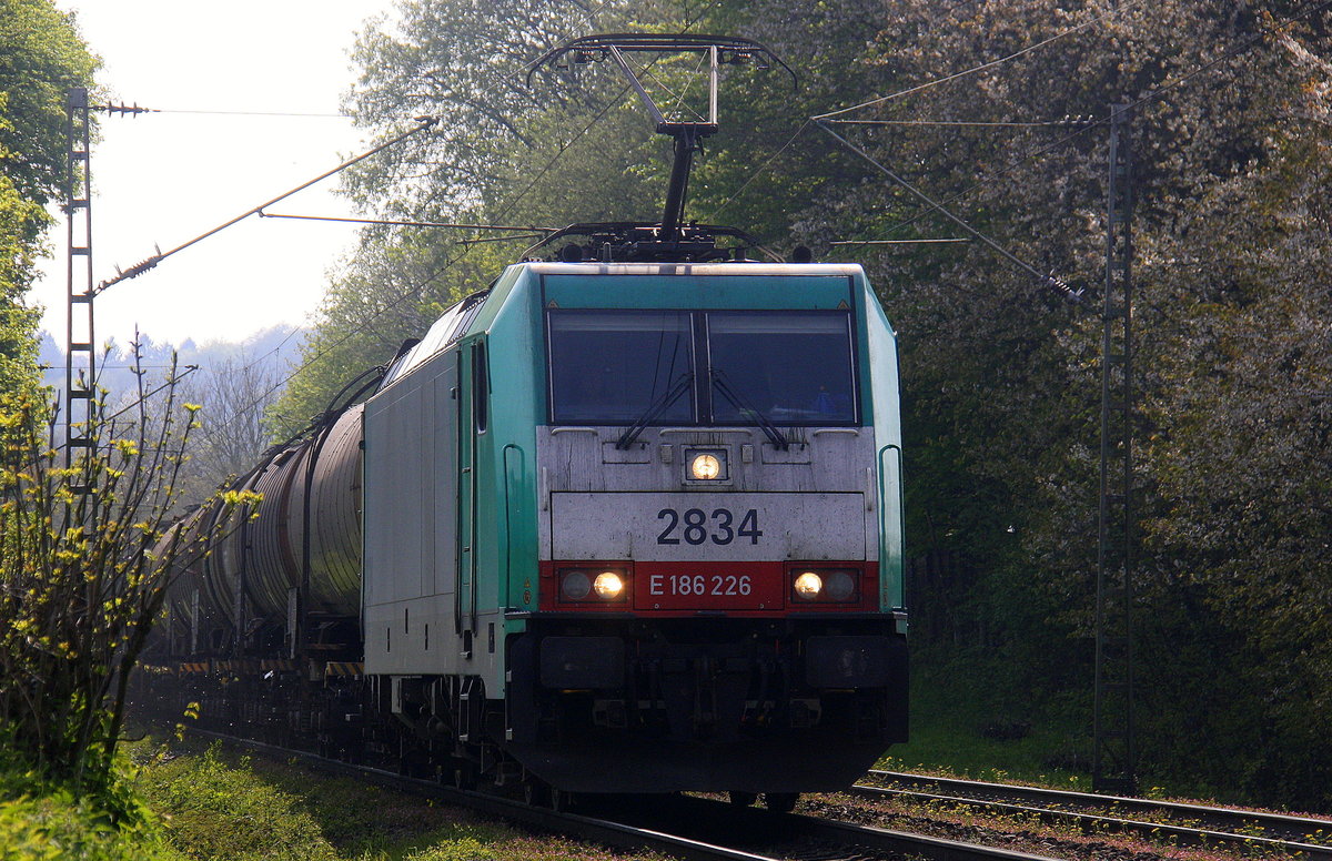 Die Cobra 2834 kommt die Gemmenicher-Rampe herunter nach Aachen-West mit einem langen Kesselzug aus Antwerpen-BASF nach Ludwigshafen-BASF(D). Aufgenommen an der Montzenroute am Gemmenicher-Weg. 
Bei schönem Frühlingswetter am Nachmittag vom 2.5.2016.