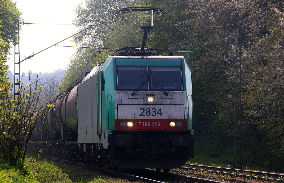 Die Cobra 2834 kommt die Gemmenicher-Rampe herunter nach Aachen-West mit einem langen Kesselzug aus Antwerpen-BASF nach Ludwigshafen-BASF(D). Aufgenommen an der Montzenroute am Gemmenicher-Weg. 
Bei schönem Frühlingswetter am Nachmittag vom 2.5.2016.